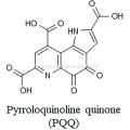 Hot Selling Pyrroloquinoline Quinone PQQ CAS: 72909-34-3